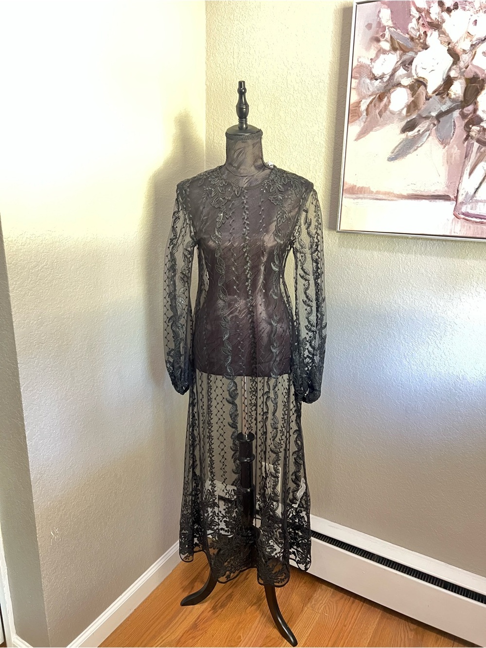 Zara Embroidered Semi-Sheer Tulle Dress Gothic Black Sz Xs NWT - Picture 2 of 14